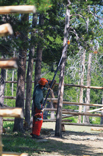 Pole Saw Stihl HT131