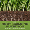 Scotts® Turf Builder® Grass Seed Tall Fescue Mix