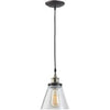 Pendant Light Fixture, Clear Glass, Antique Brass Accents & Brown