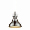 Plug-In Pendant Light Fixture, Brushed Steel Finish, In-Line Switch, 15ft Clear Cord