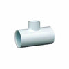 Charlotte Pipe 3/4 In. Solvent Weld x 1/2 In. FIP Schedule 40 PVC Tee