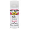 Rust-Oleum® Clear Enamel Matte Clear (12 Oz, Matte Clear)