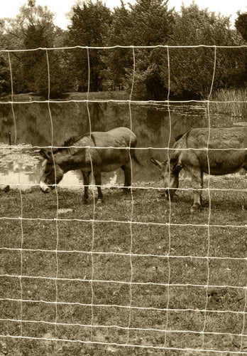 Burly Field Fence (47 330' X 6Stay Spacing)